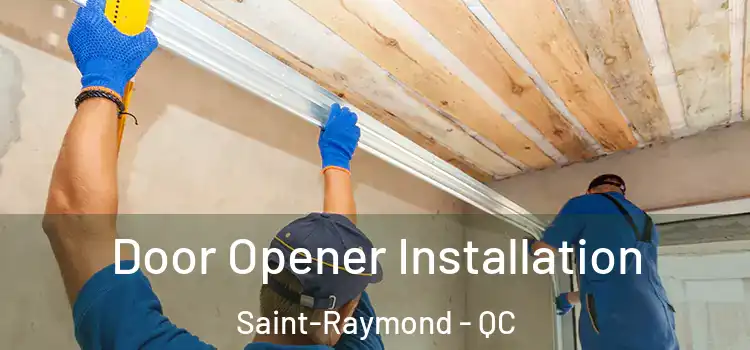  Door Opener Installation Saint-Raymond - QC