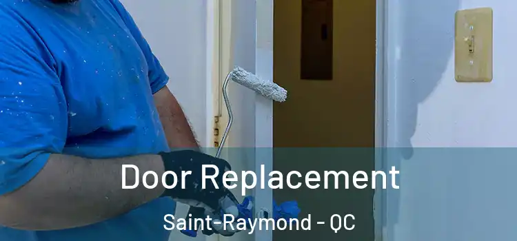  Door Replacement Saint-Raymond - QC
