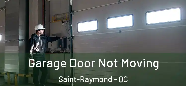  Garage Door Not Moving Saint-Raymond - QC