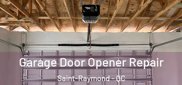  Garage Door Opener Repair Saint-Raymond - QC