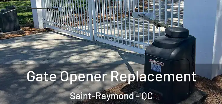  Gate Opener Replacement Saint-Raymond - QC