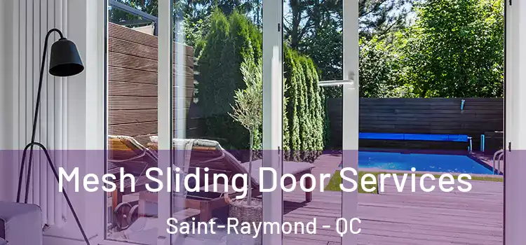  Mesh Sliding Door Services Saint-Raymond - QC
