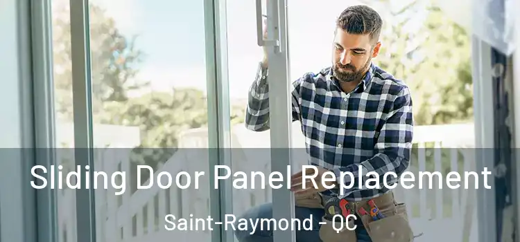  Sliding Door Panel Replacement Saint-Raymond - QC